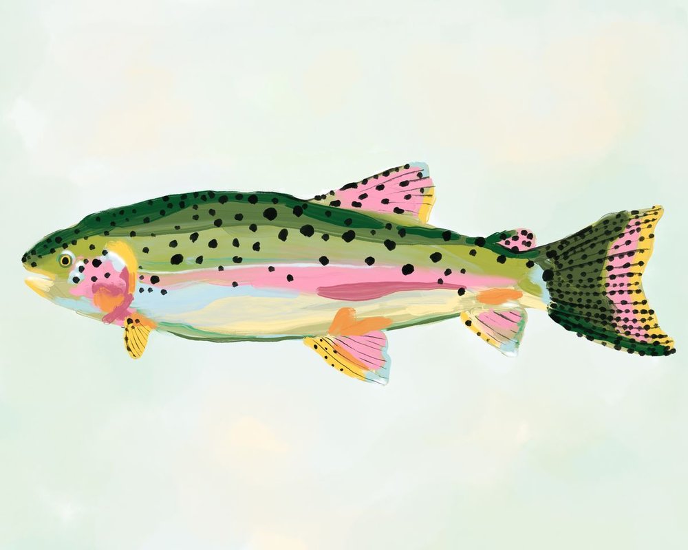 Illustration of a rainbow trout in sage green and blush pink with black spots