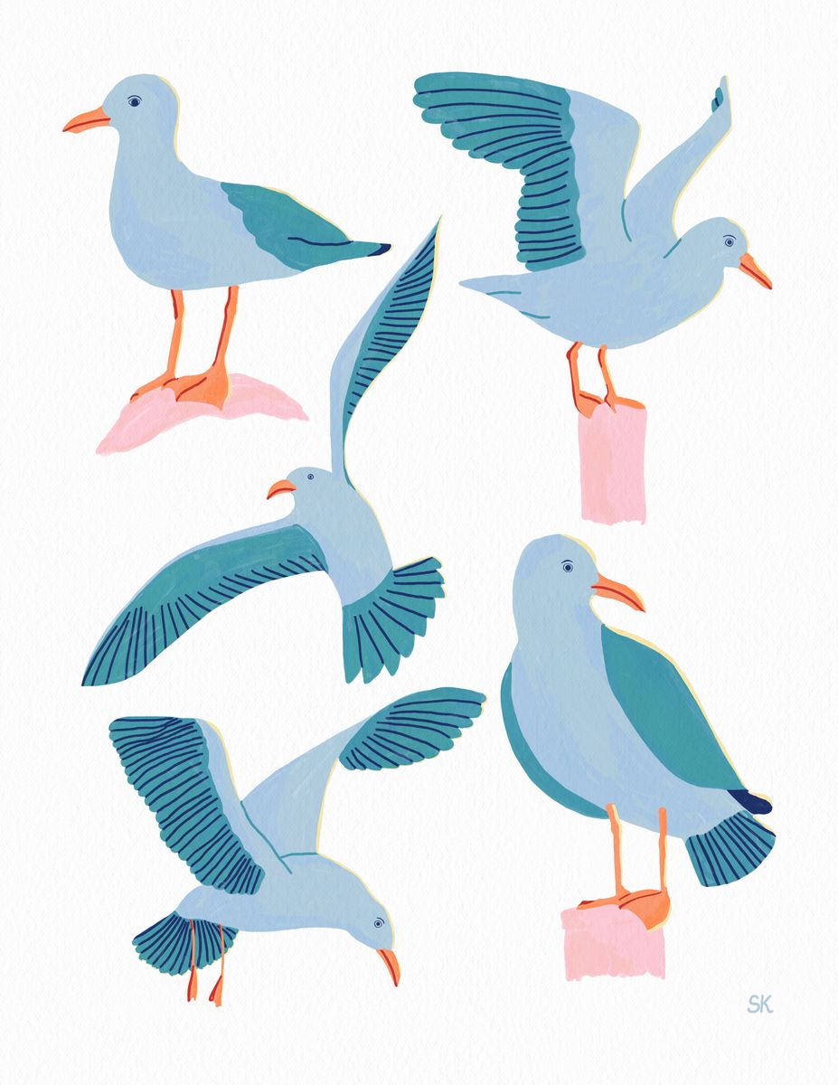 Illustration of six seagulls perched and in flight, in blue, teal, and orange