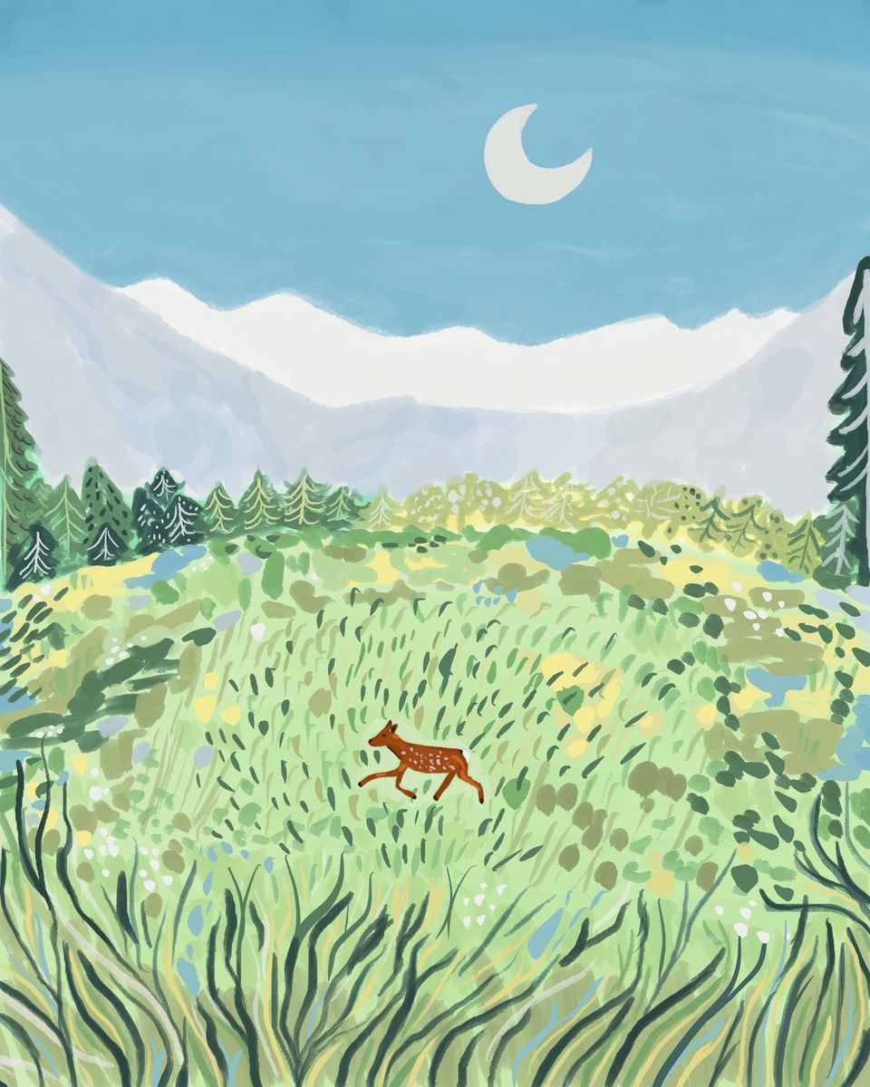 Illustration of a fawn bounding through a green meadow beneath a crescent moon